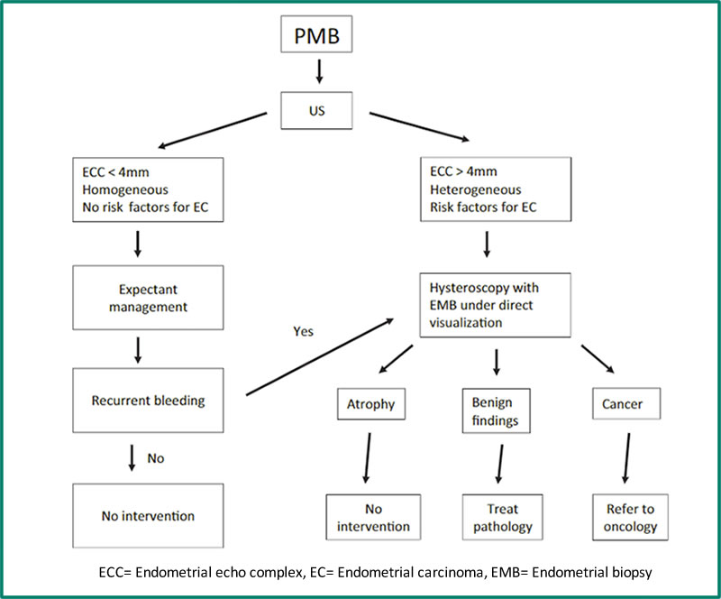 https://www.menopause.org.au/images/pics/Management_algorithm_for_patients_with_post-menopausal_bleeding.jpg